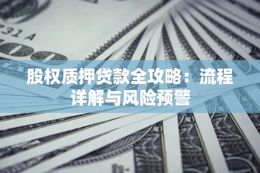 北京股权质押贷款全攻略：流程详解与风险预警