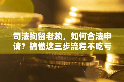 北京司法拘留老赖，如何合法申请？搞懂这三步流程不吃亏！
