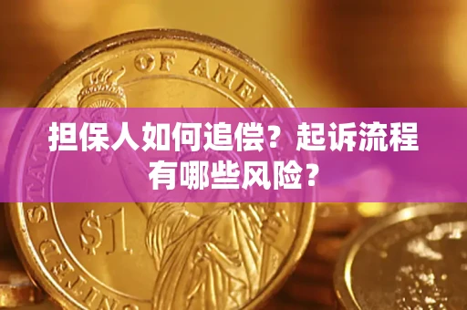 北京担保人如何追偿？起诉流程有哪些风险？