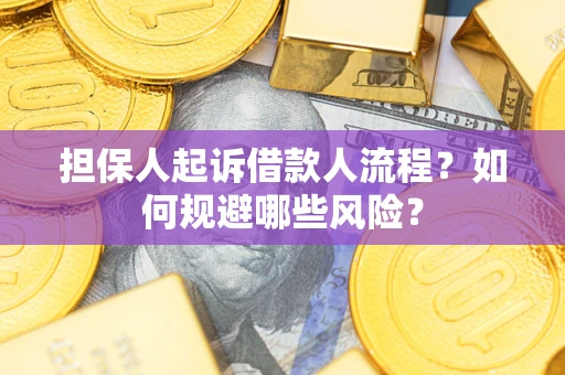 北京担保人起诉借款人流程？如何规避哪些风险？